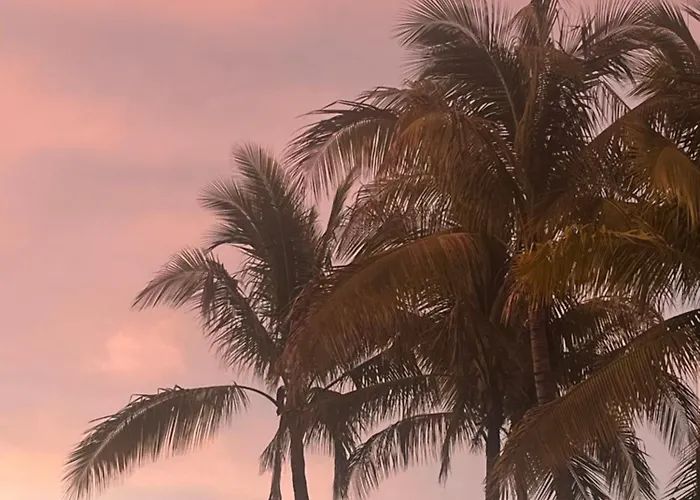 Del Sol - Steps To