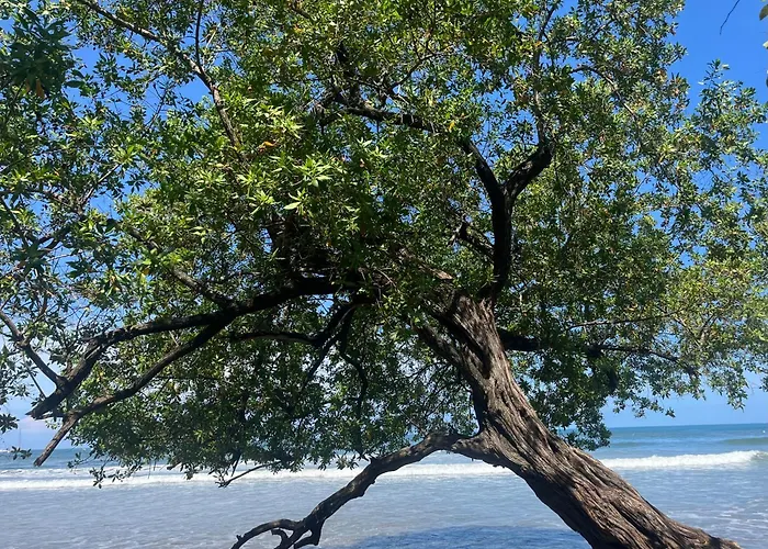 Del Sol - Steps To * Tamarindo